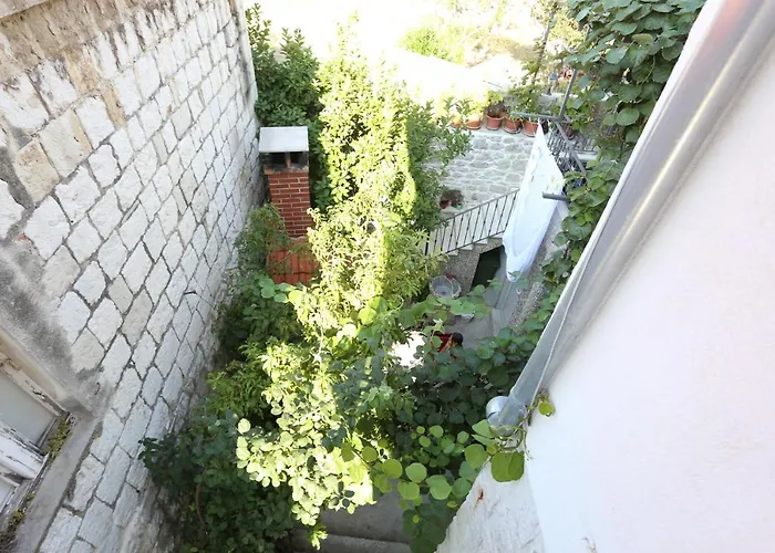 Nikolla * Σπλιτ