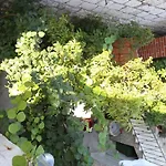 Nikolla Апартаменты *